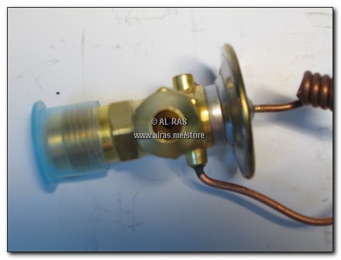 EV. MITS ROSA 'F' W/EQ